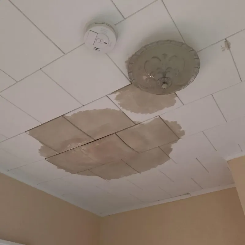 Ceiling Water Damage Repair in Hutchinson County, TX