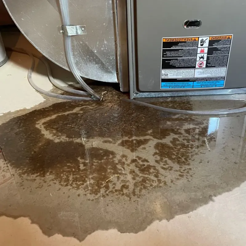Pipe Burst and Leak Restoration in Hutchinson County, TX