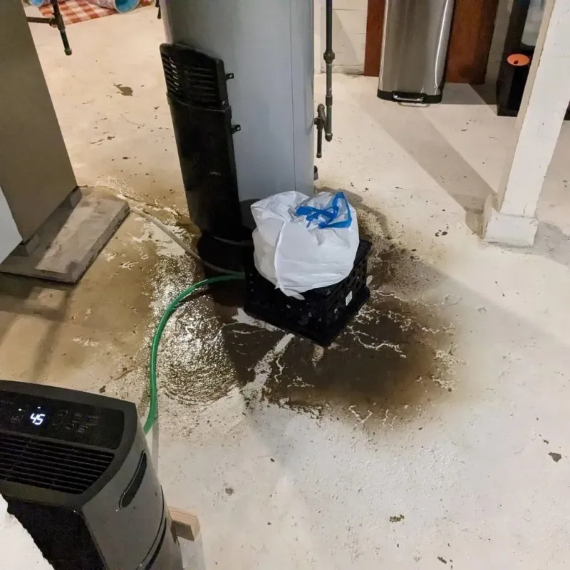 Sewage Backup Cleanup Service in Hutchinson County, TX